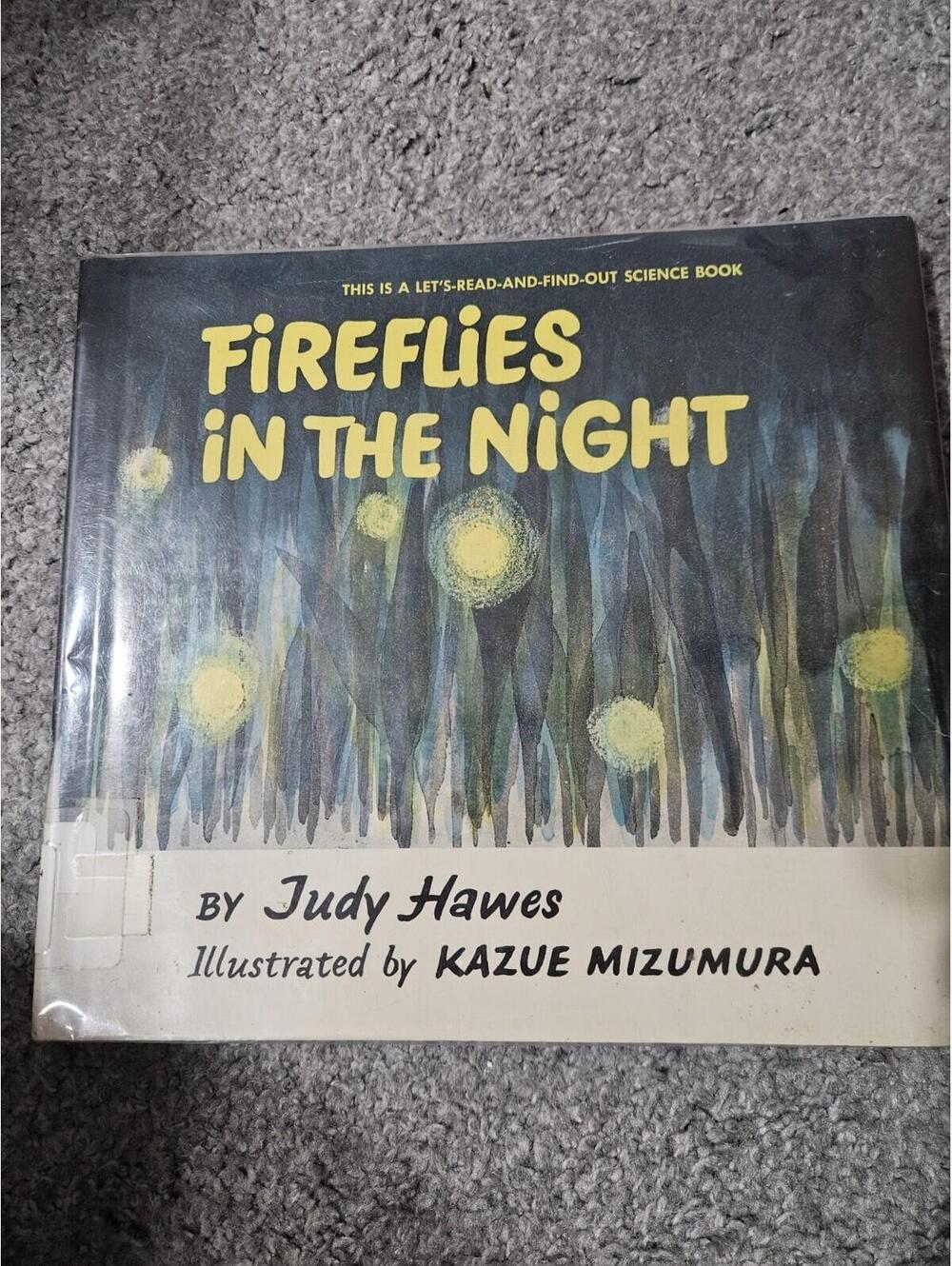 Fireflies In The Night By Judy Hawes